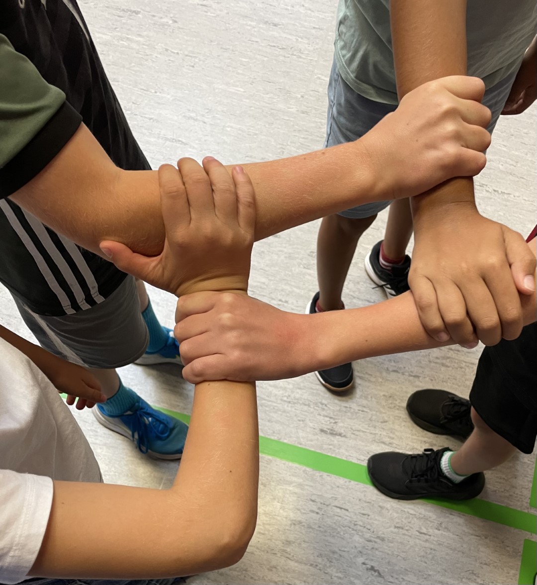 Sozialtraining 1 Groß